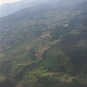 Meet your Posher, Gus